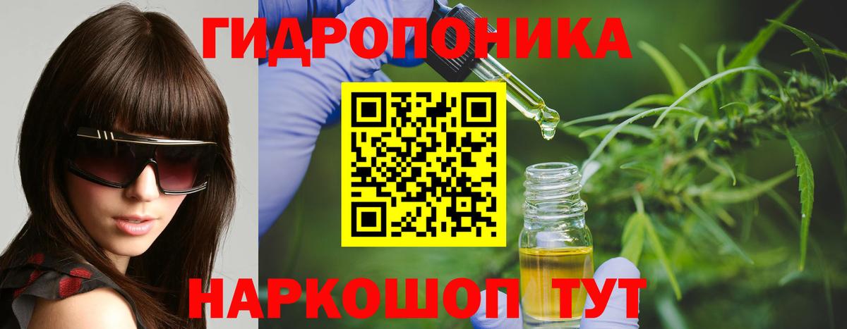 Шишки марихуана планчик Камышин